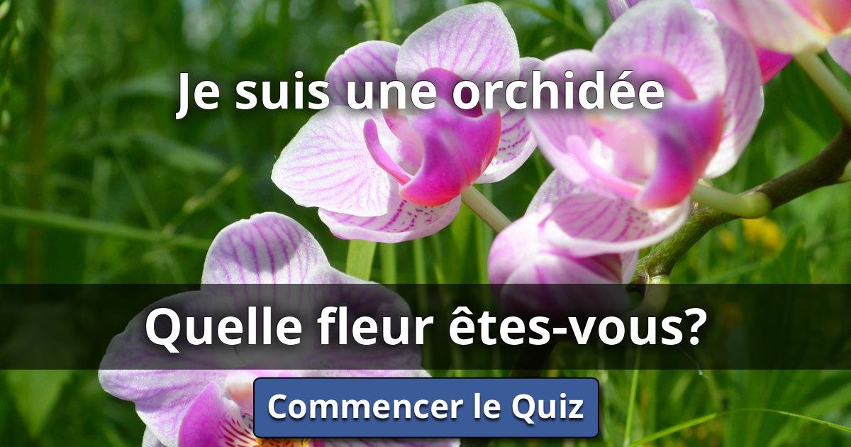 Je suis une orchidée Quelle Fleur ÊtesVous? Lusorlab Quizzes