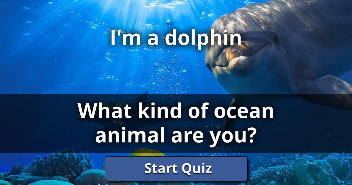 I'm a dolphin What Kind Of Ocean Animal Are You? Lusorlab Quizzes