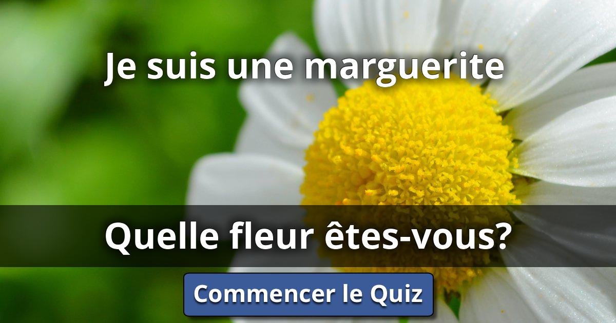 Je suis une marguerite Quelle Fleur ÊtesVous? Lusorlab Quizzes